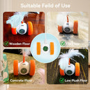 App-Controlled Remote Control Mouse Cat Toy – USB Rechargeable Moving Toy with 6 Lights